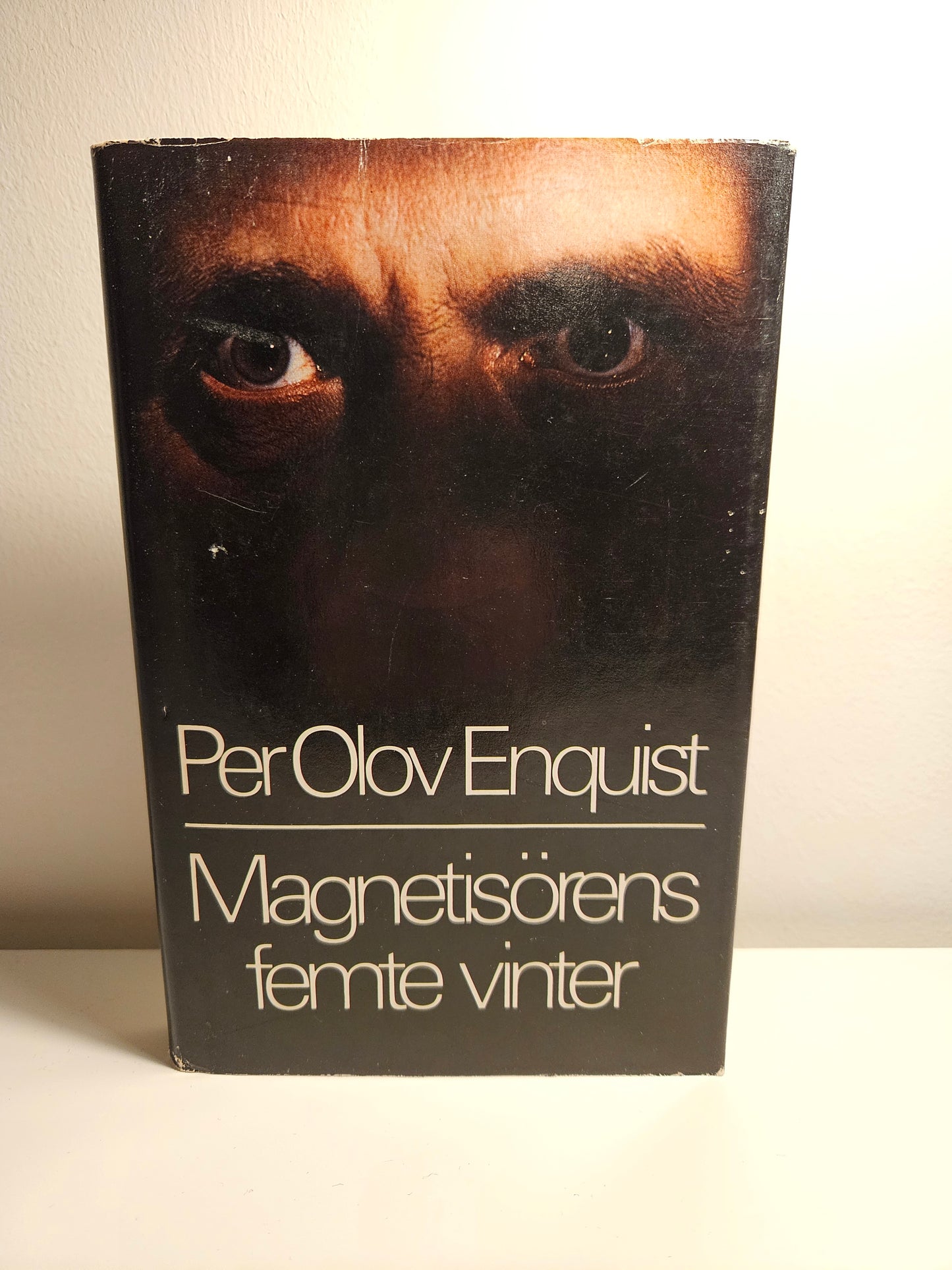 Magnetisörens femte vinter