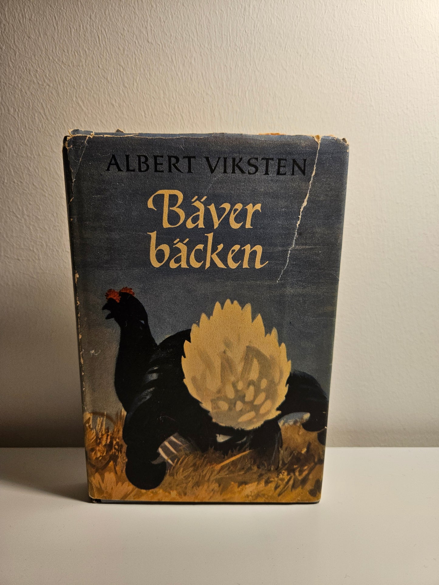 Bäver bäcken